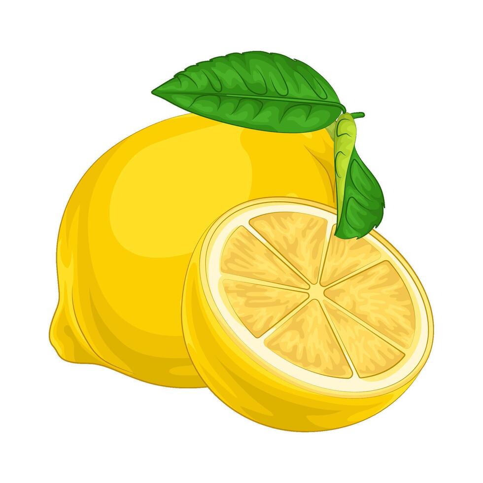 Illustration of lemon vector