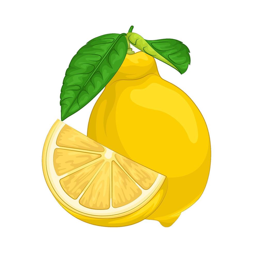 Illustration of lemon vector