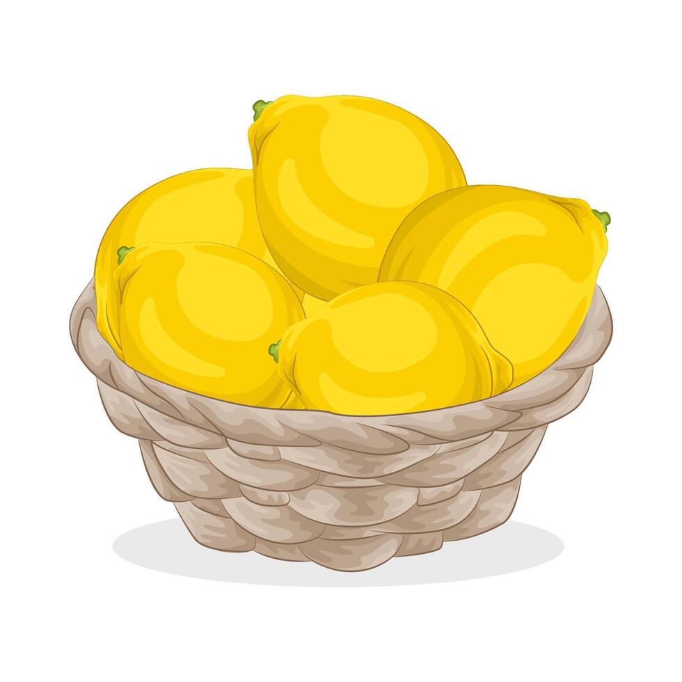 Illustration of lemon vector