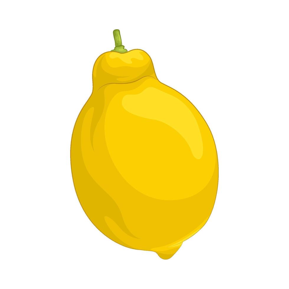 Illustration of lemon vector