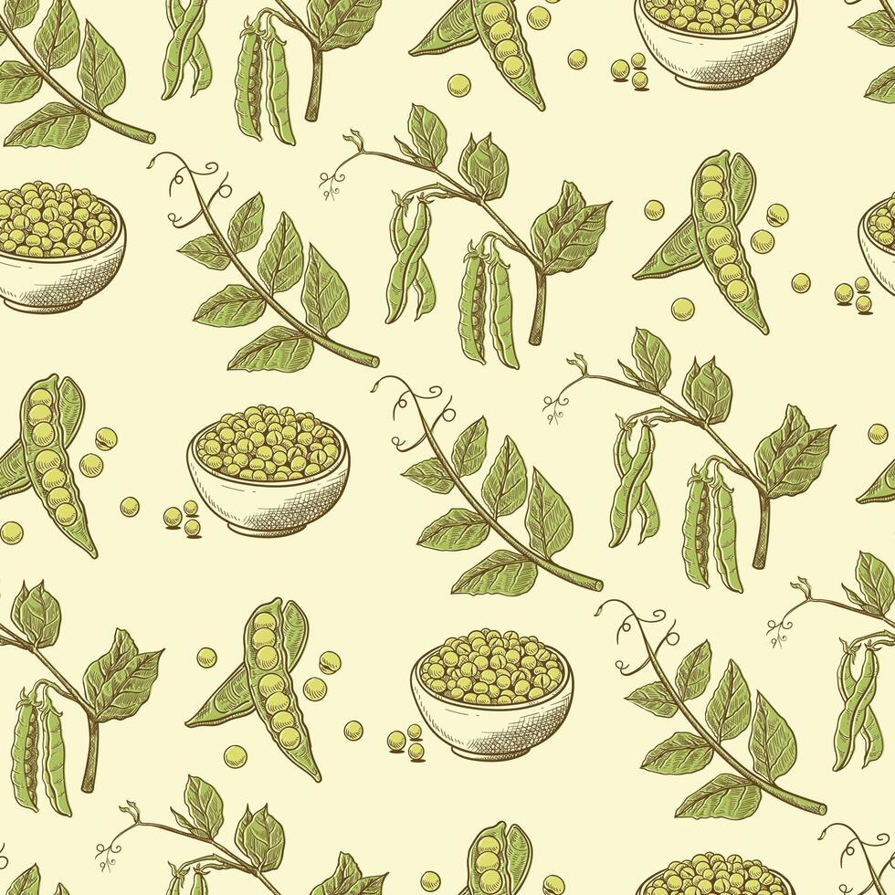 seamless pattern of green peas in green style vector
