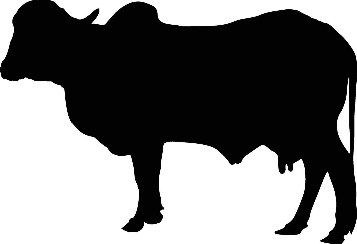 cow art illustration design vector