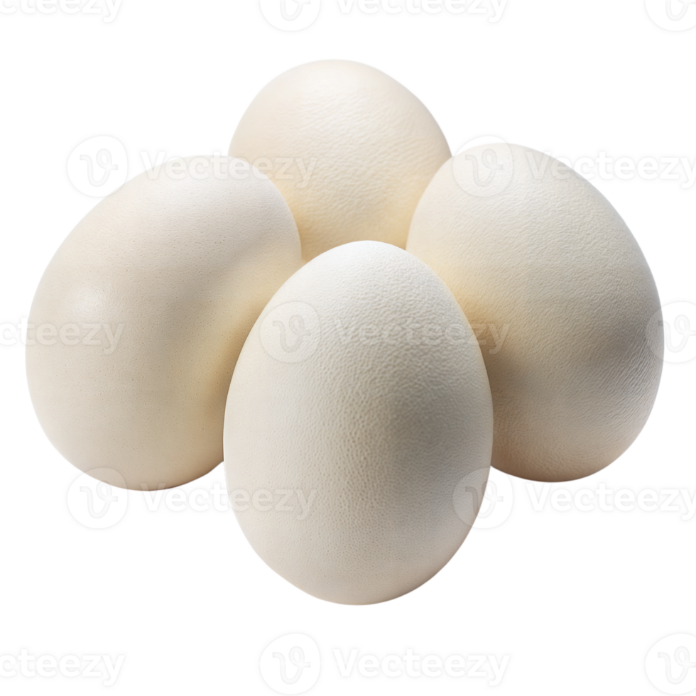 Four ostrich eggs on transparent background png