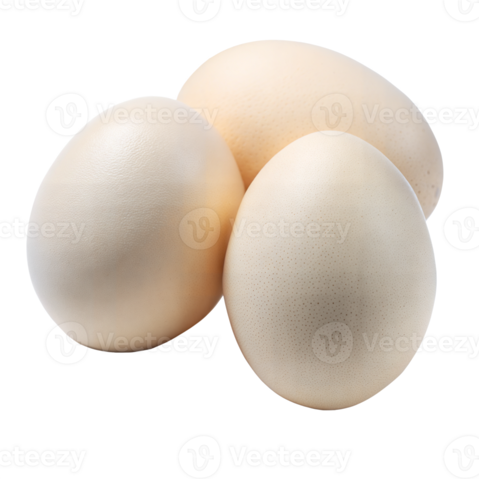 Three ostrich eggs on transparent background isolated png