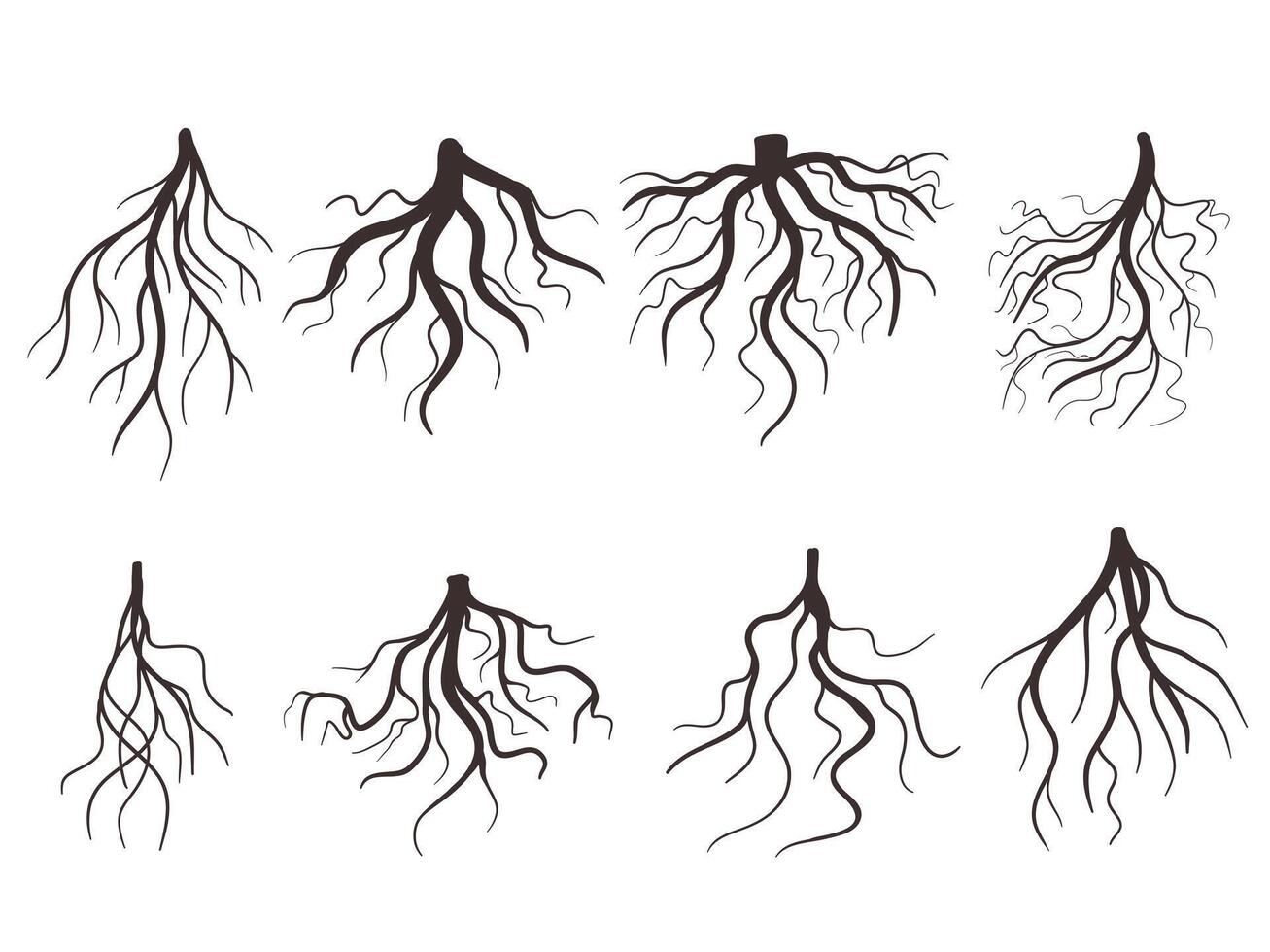 Set of tree roots illustration vector