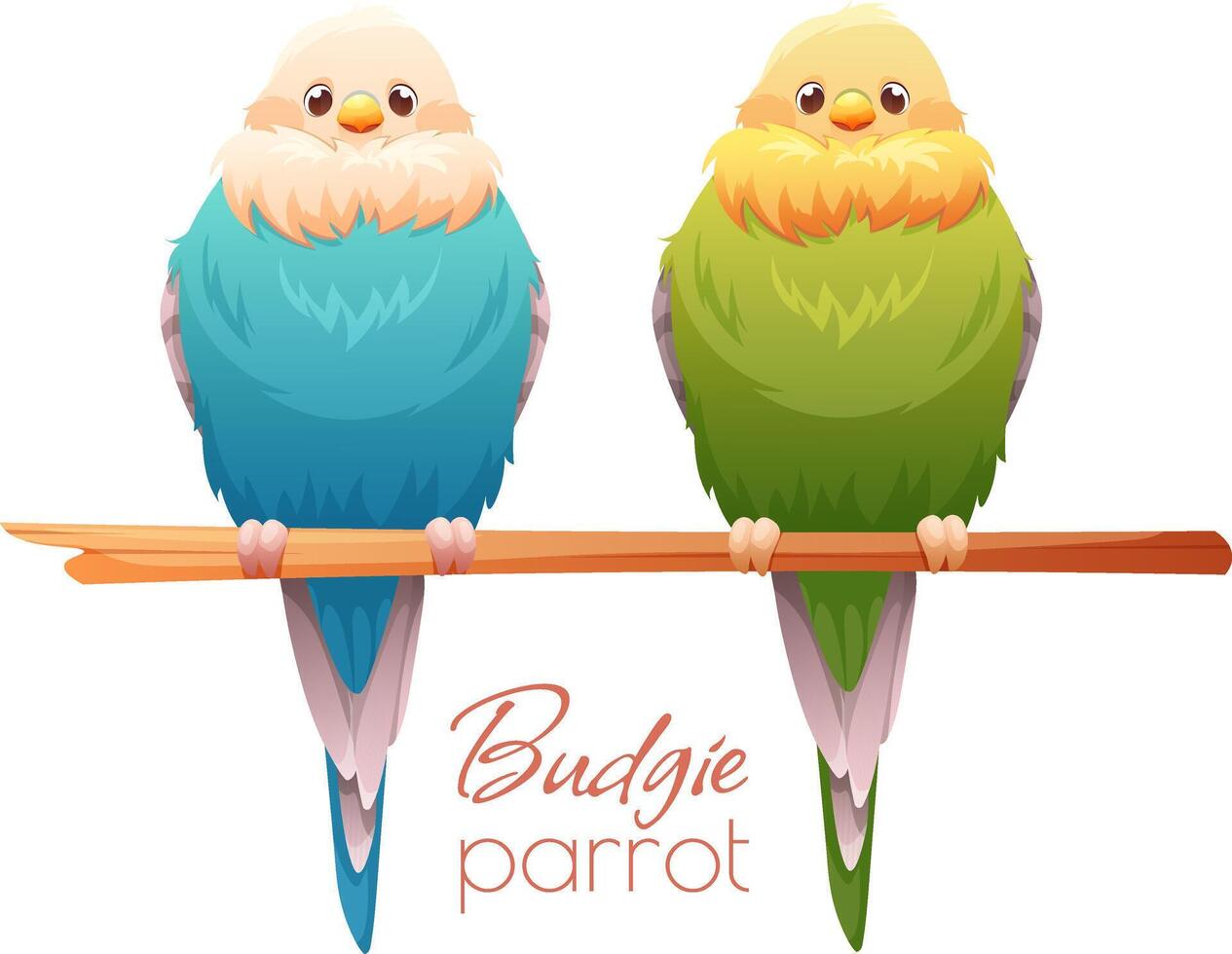 Cute budgies in blue and green colors sit on branch. Cartoon illustration of tropical birds on white background vector