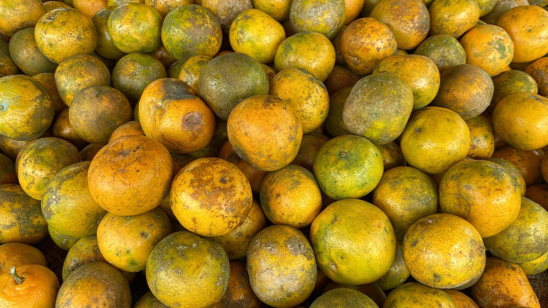 there are many oranges that are piled together in a pile photo