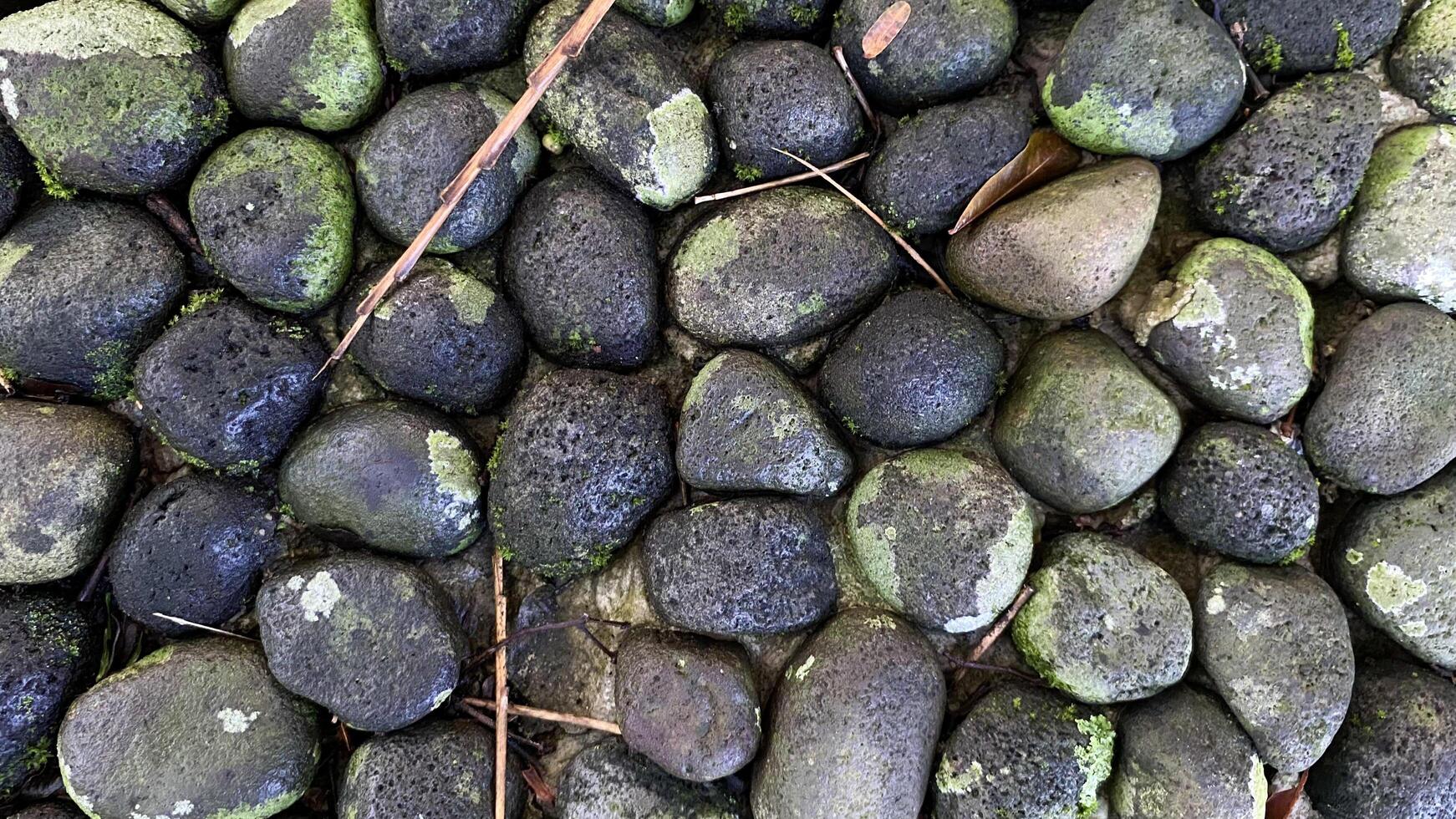 there is a pile of rocks with moss growing on them photo