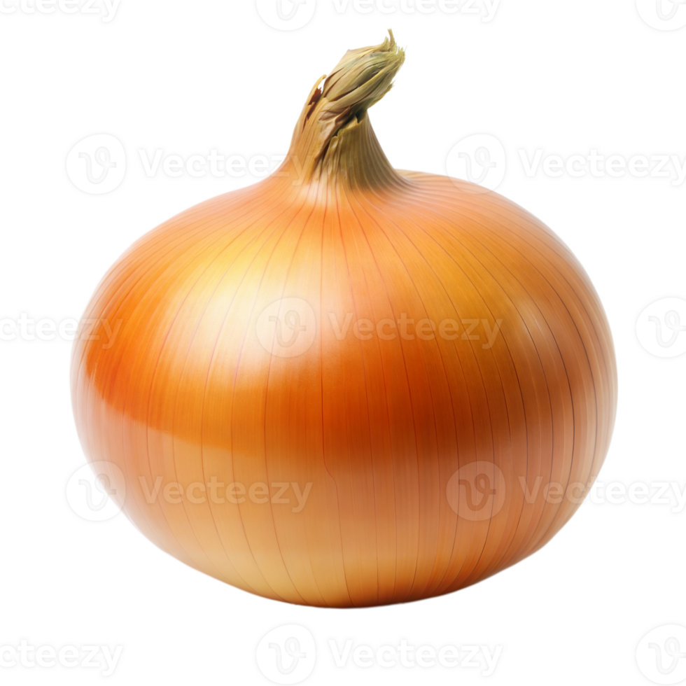 Fresh whole onion with transparent background for culinary use png