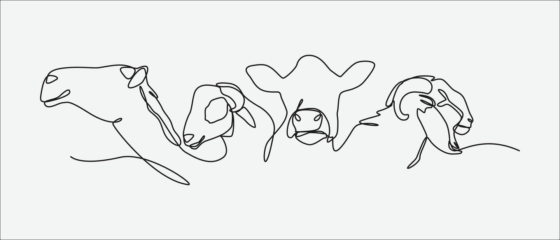 Continuous one line drawing of camel, sheep, cow, and goat. Concept of livestock, eid al adha. Editable stroke. Graphic illustration. vector