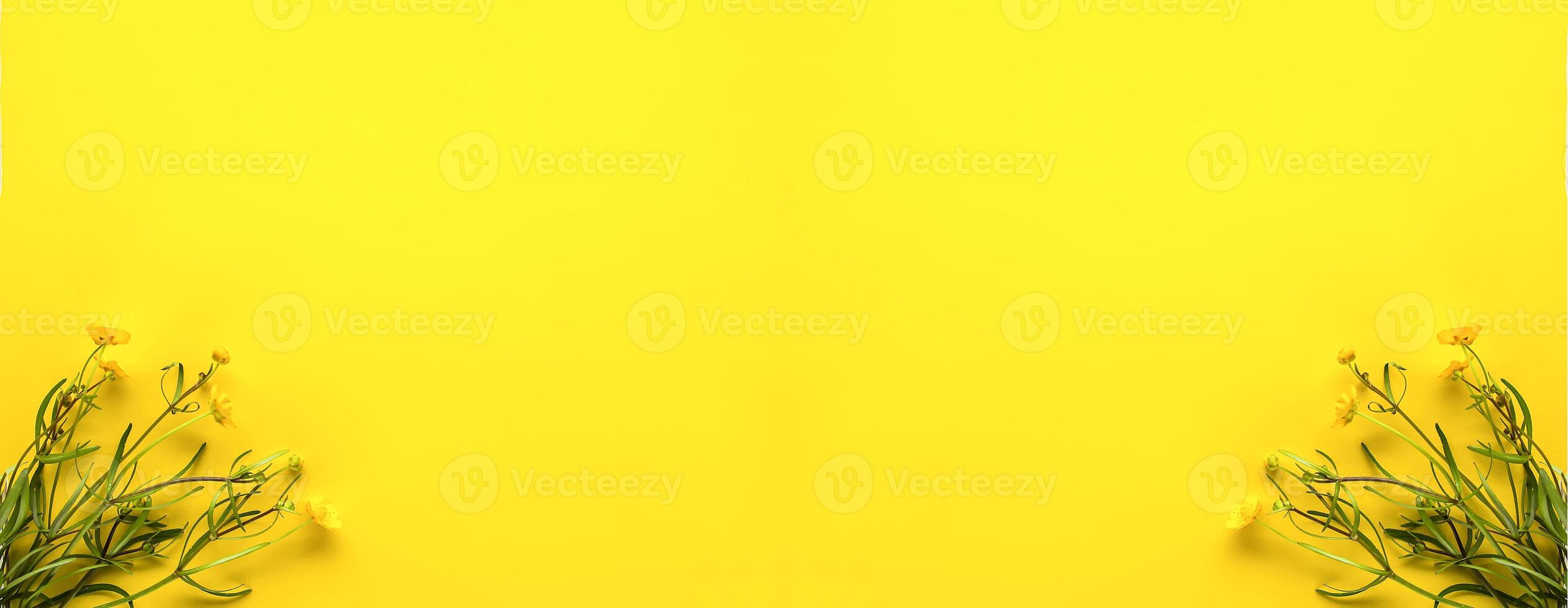 Beautiful bouquet of flowers on bright yellow background. Ranunculus acris plants. photo