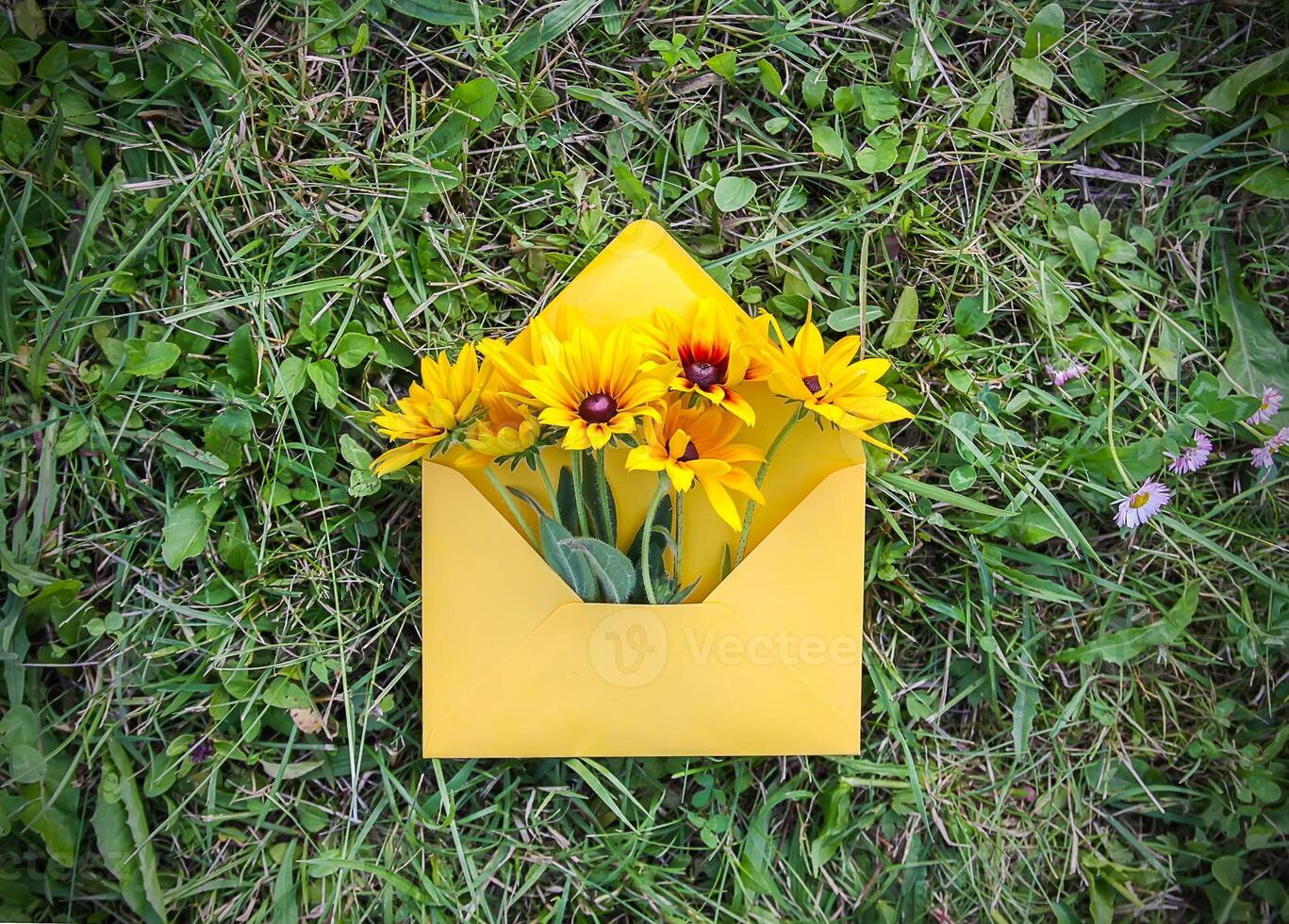 Yellow paper envelope with fresh garden Black-Eyed Susan flowers on green grass background. Festive floral template. Greeting card design. Top view. photo