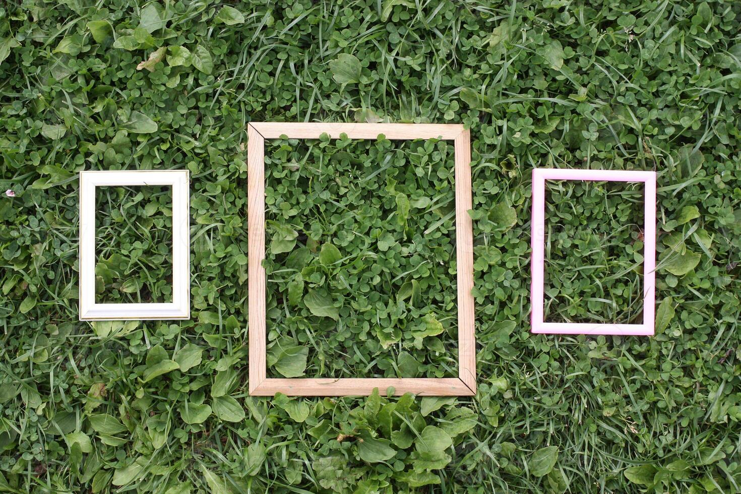 Three old wooden frame on green grass background. photo