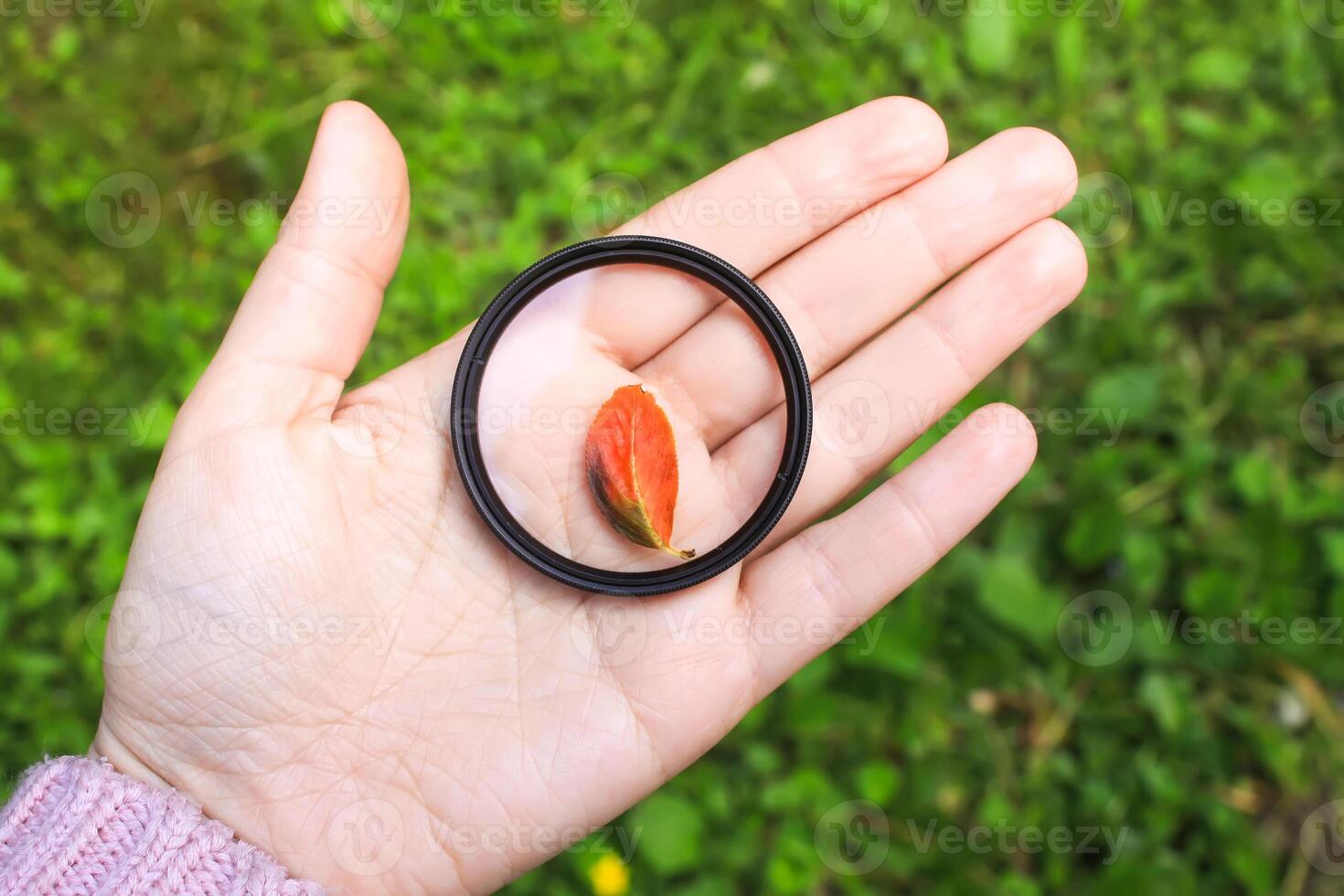Hand holds a circular polarizer filter on summer landscape background. photo