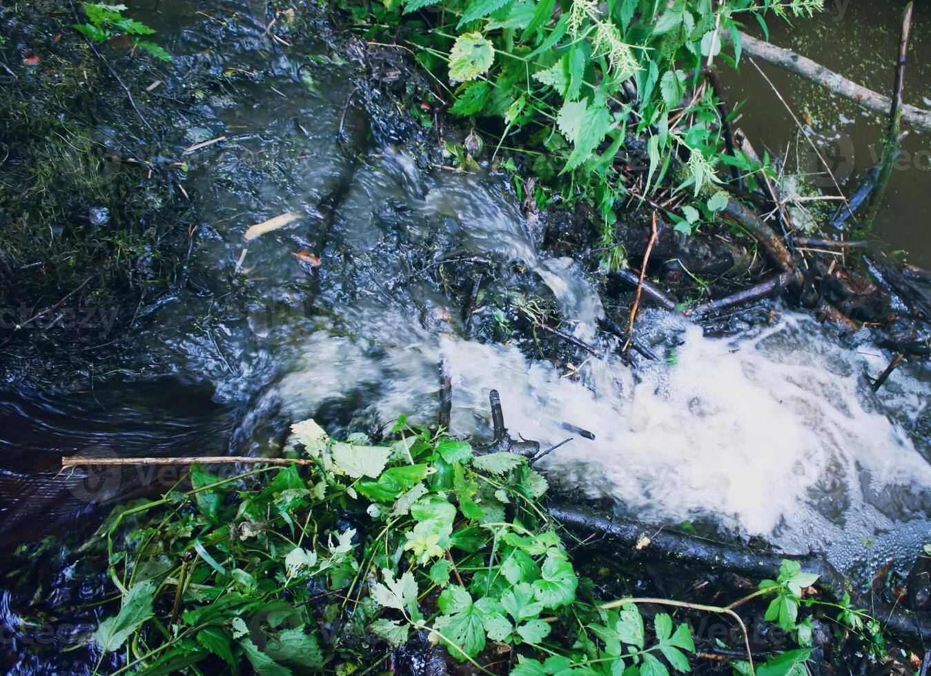 Small creek in the woods photo