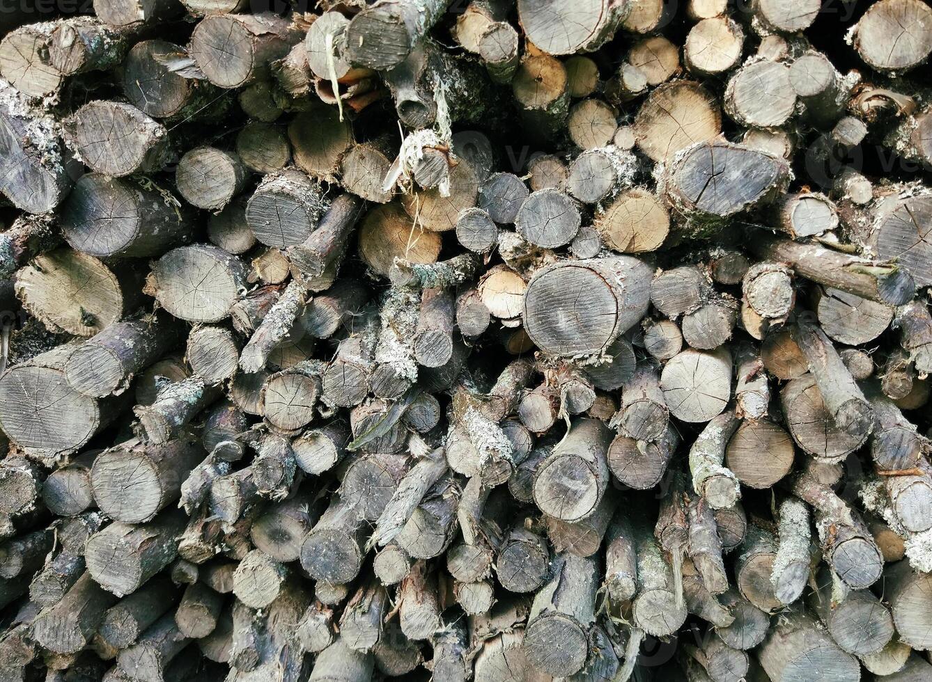 Stack of firewood prepared for winter. photo