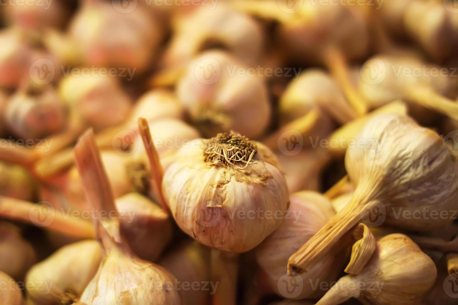 Fresh garlic cloves background. photo