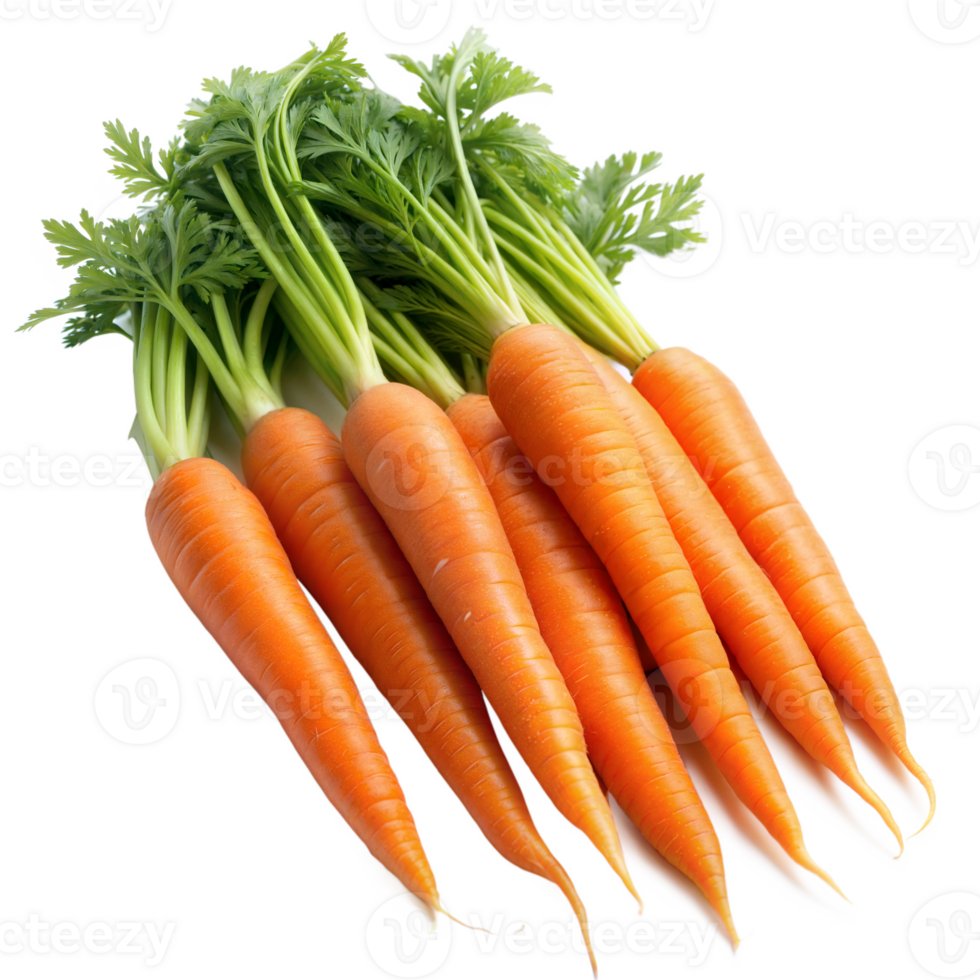 Fresh organic carrots with green tops on display png