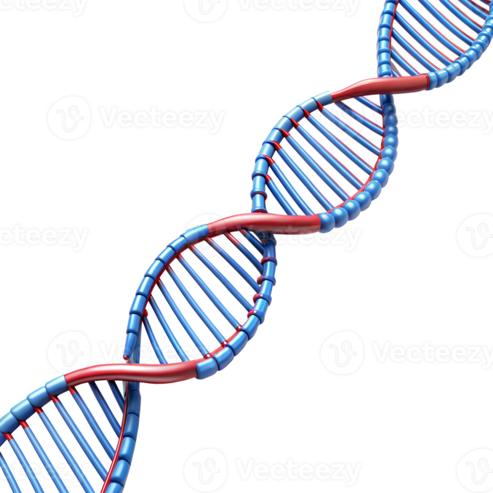 3D rendered DNA double helix strand illustration 46323381 PNG