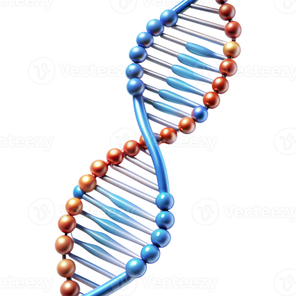 3d illustration of dna helix with colorful spheres on transparent background png