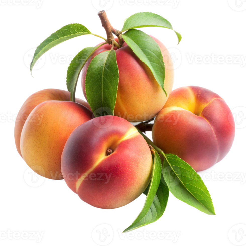 Fresh ripe peaches with green leaves on a branch png