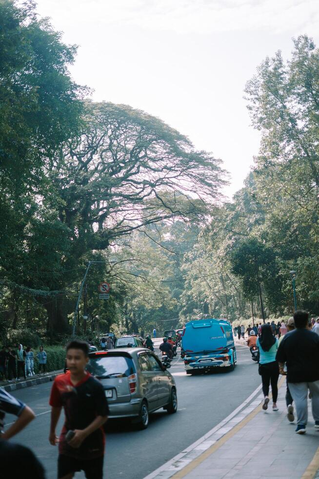 Bogor, mei 26 2024. People passing by, engaging in various recreational activities, heading towards a spacious sports facility, a hub for public fitness and leisure photo
