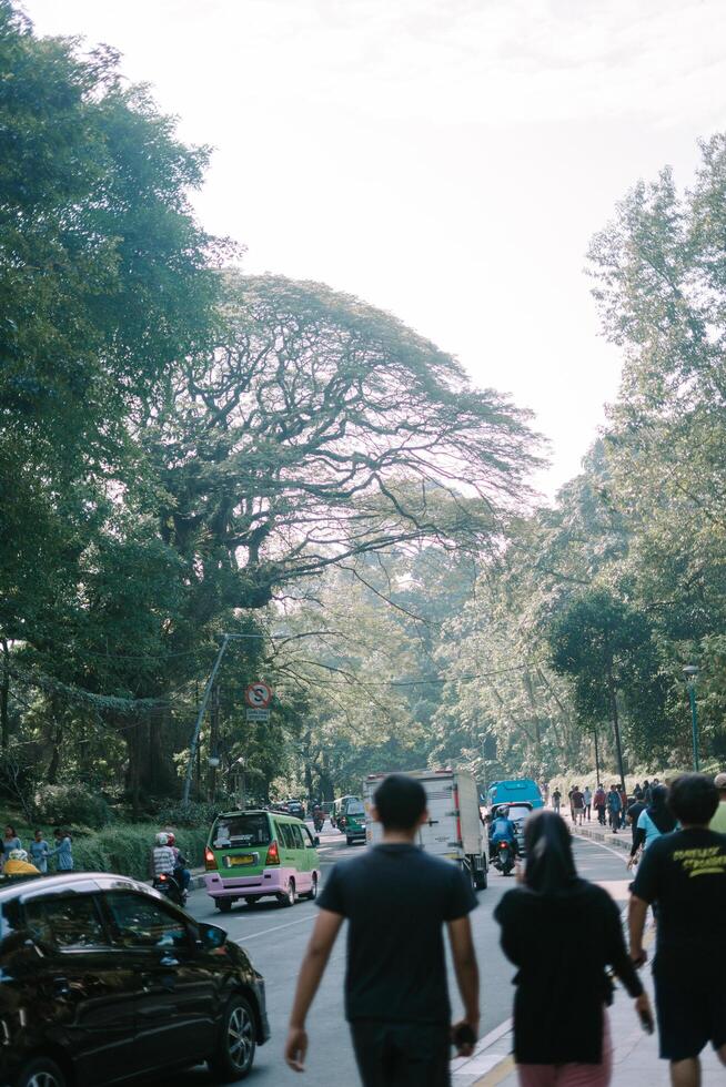 Bogor, mei 26 2024. People passing by, engaging in various recreational activities, heading towards a spacious sports facility, a hub for public fitness and leisure photo