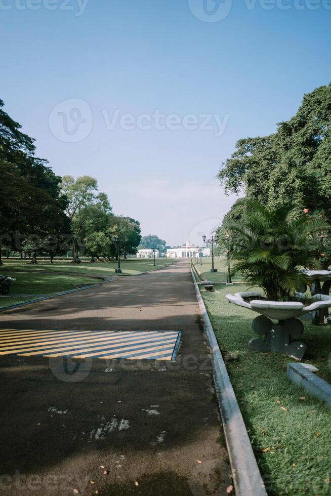 Entrance road to the Presidential Palace in Bogor, lined with lush trees and well-maintained gardens. photo