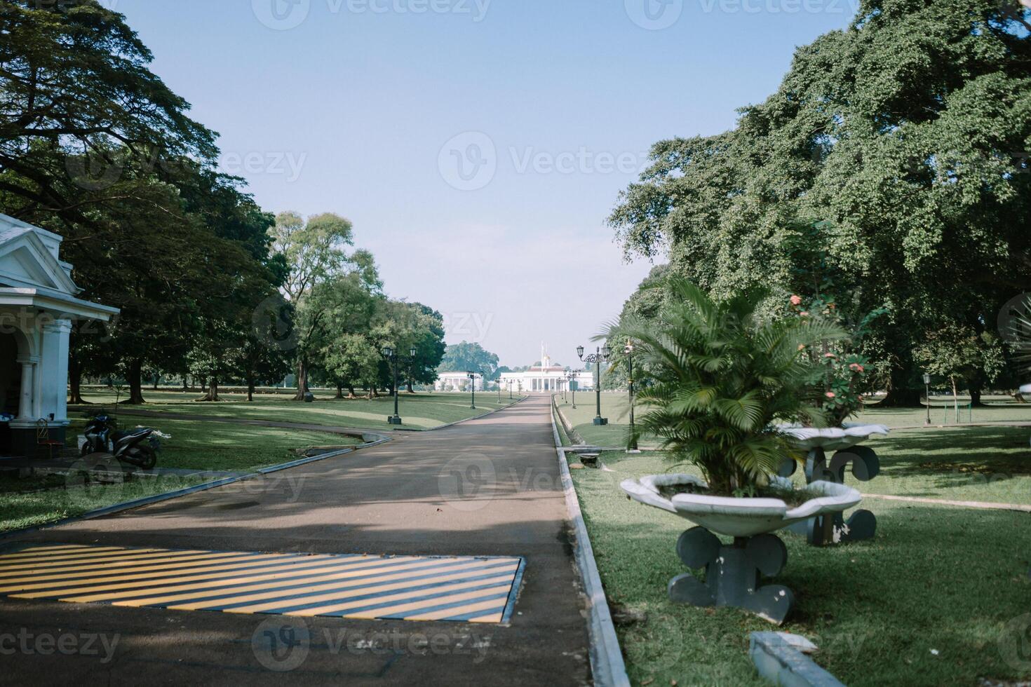 Entrance road to the Presidential Palace in Bogor, lined with lush trees and well-maintained gardens. photo
