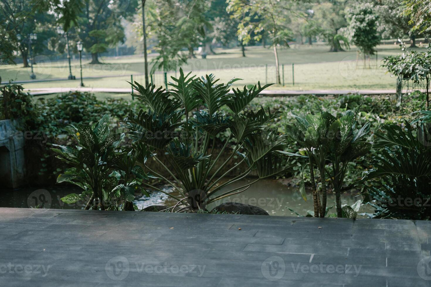 A lush garden in the Bogor Presidential Palace grounds, featuring manicured lawns and vibrant flowers. photo