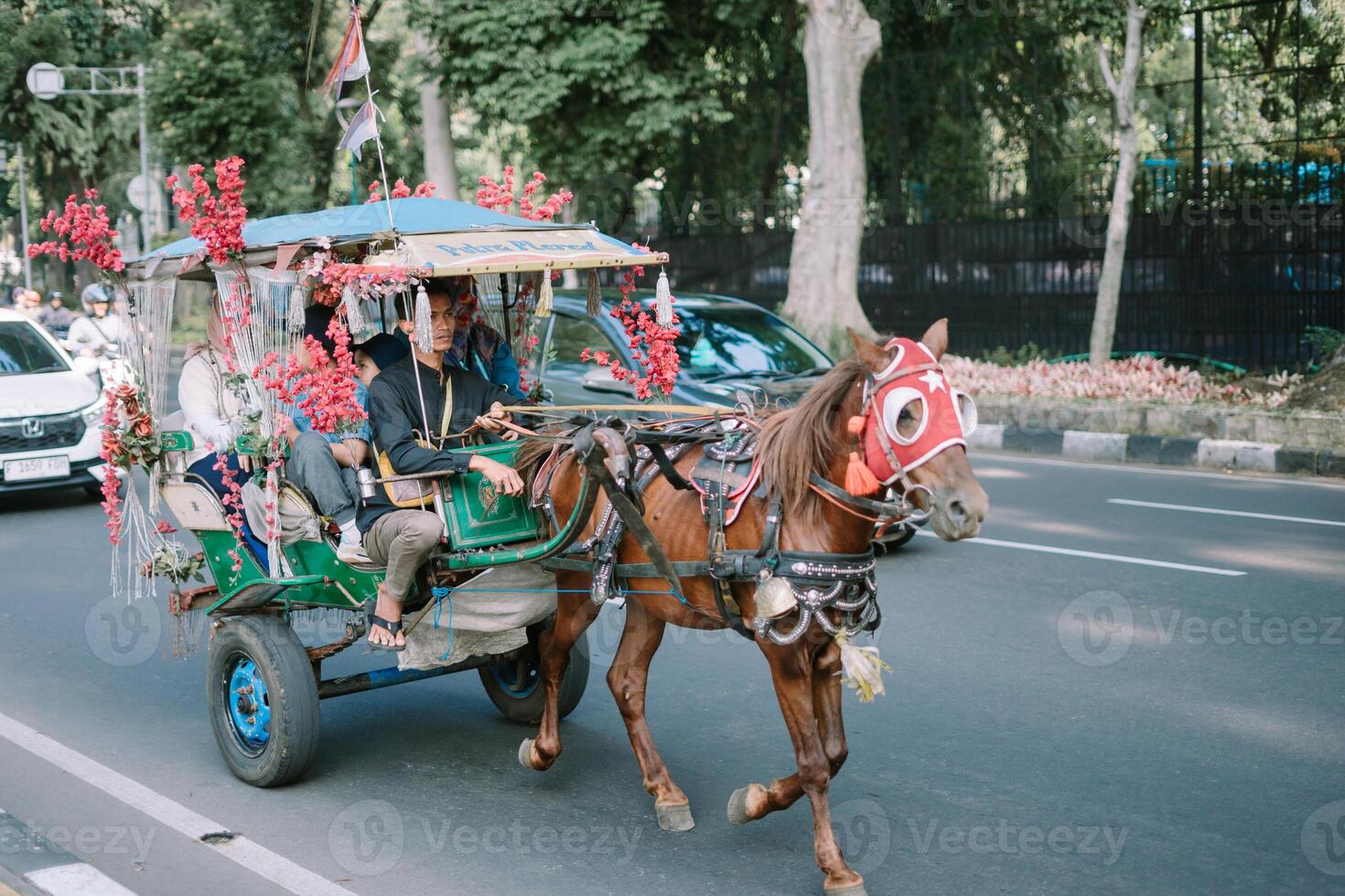 Bogor, Mei 26 2024. A traditional horse drawn carriage delman on a major road in Bogor, capturing the blend of heritage and urban life photo