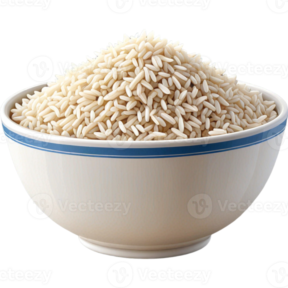 Rice on bowl png