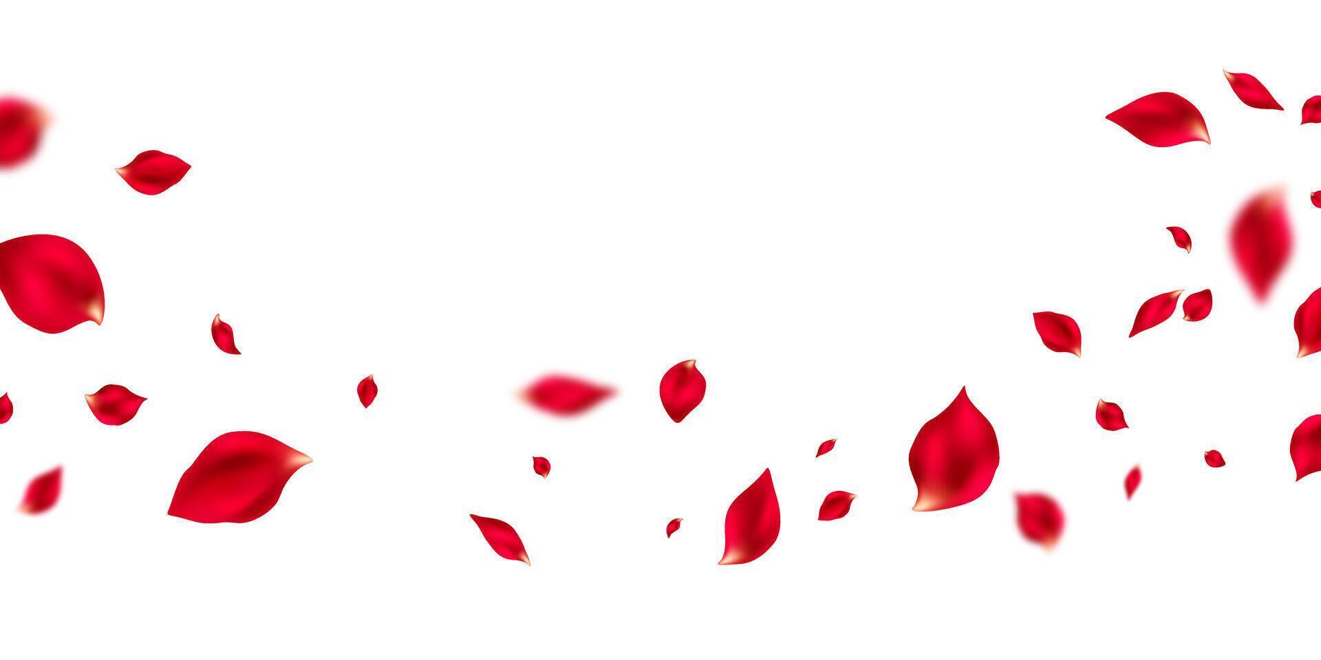 Beautiful flower petals background illustration. vector