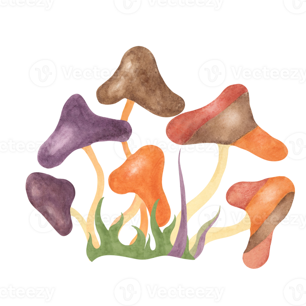 Retro hippie mushroom and grass in 70s style. Hippie psychedelic groovy fungus clipart. Watercolor indie illustration for flower power sticker, nostalgic design, printing, quote, t-shirt cartoon style png