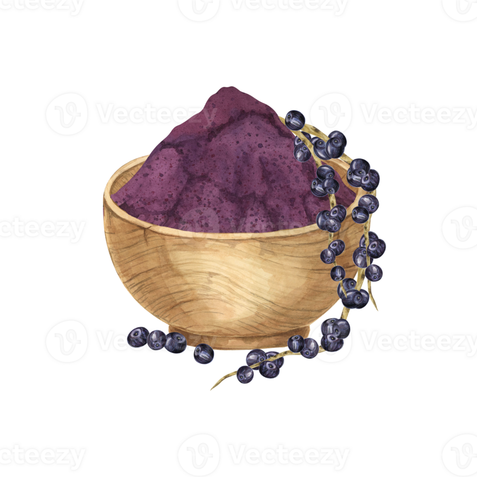 Acai berries superfood, powder in a wooden bowl and palm leaves. Exotic tropical berries clipart. Watercolor illustration for printing, packaging, cosmetics, granola, smoothie, supplements, labels png