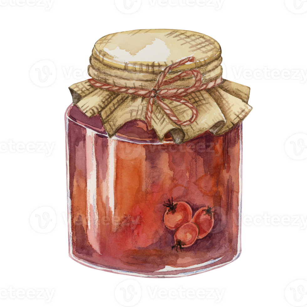 Rose hip jam in glass jar with canvas burlap fabric lid and twine rope bow. Rosehip berry breakfast jelly watercolor illustration for printing, food packaging, labels, cards, stickers, scrapbooking png