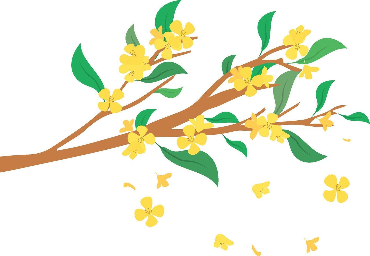 osmanthus flower tree Mid Autumn Festival vector