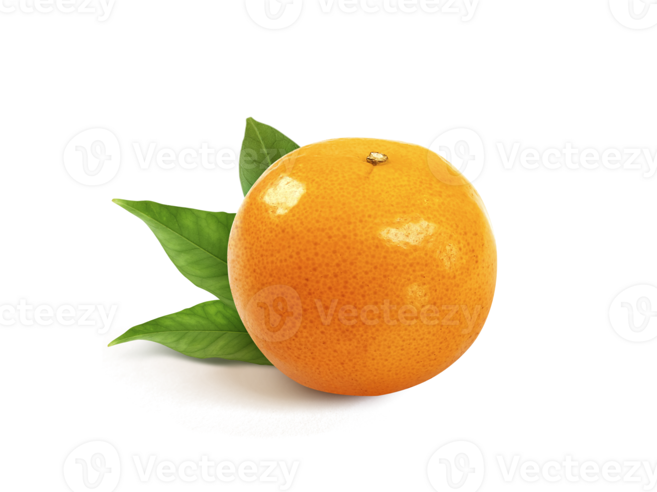 tangerine or mandarin fruit with leaves, transparent background png