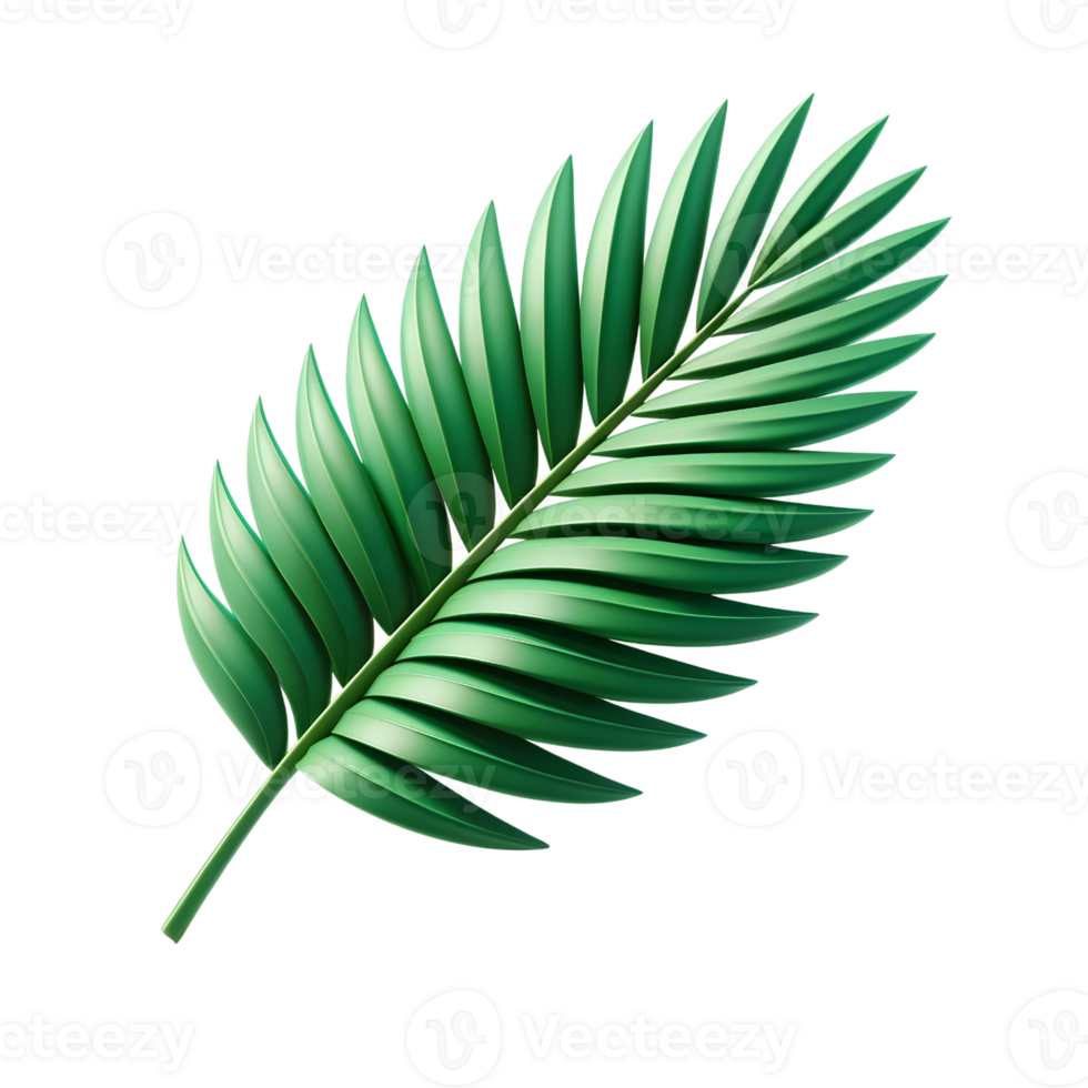 Tropical Palm Leaf Illustration in 3D Style png