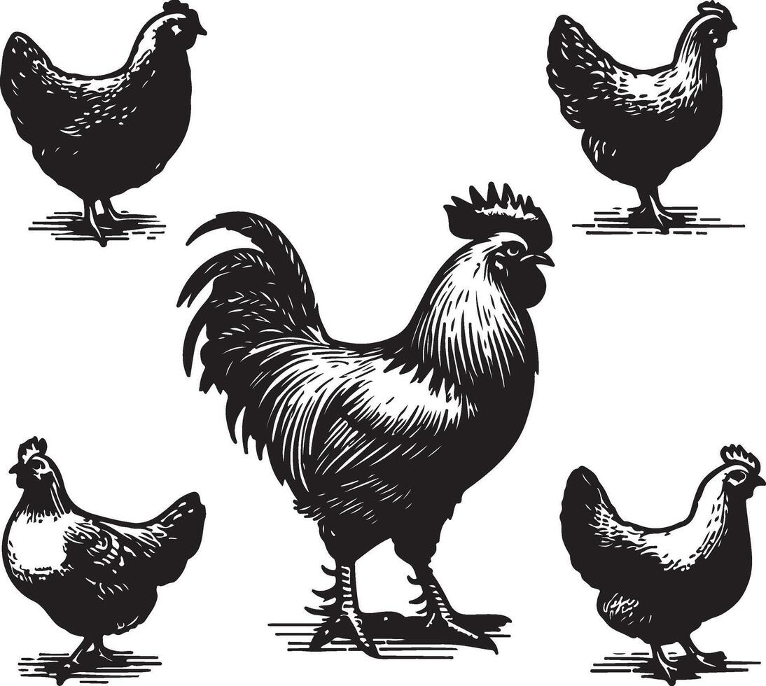 hen bundle black vector