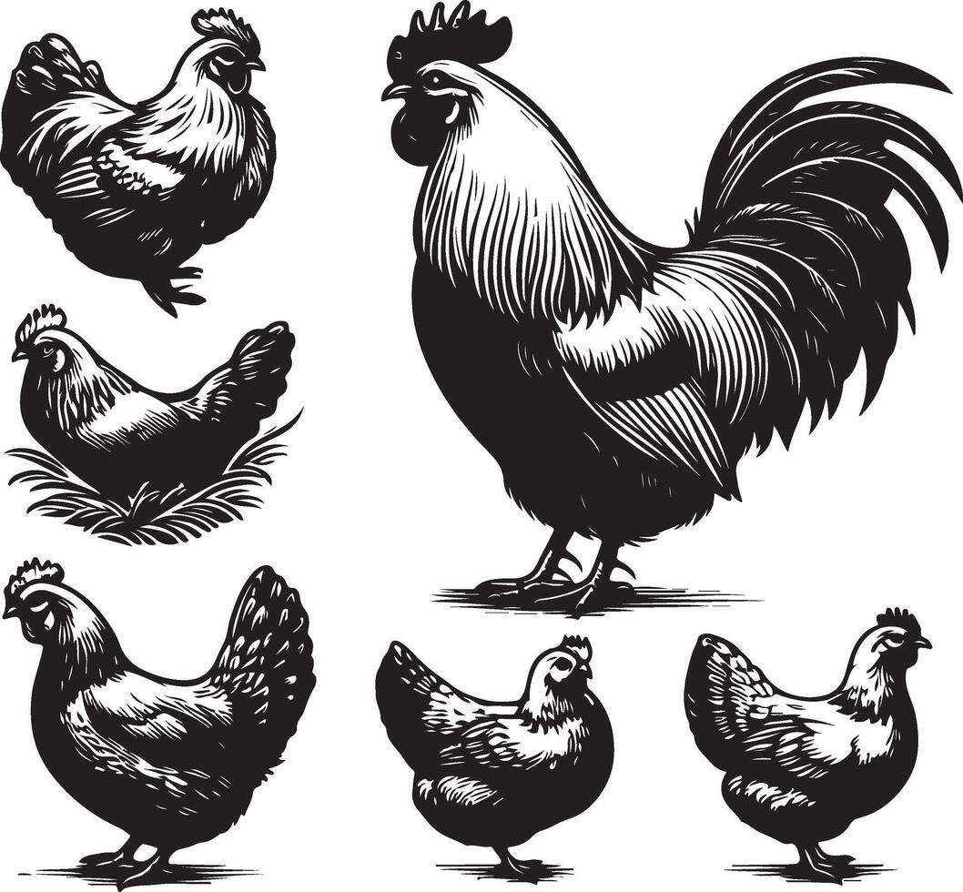 hen bundle black vector