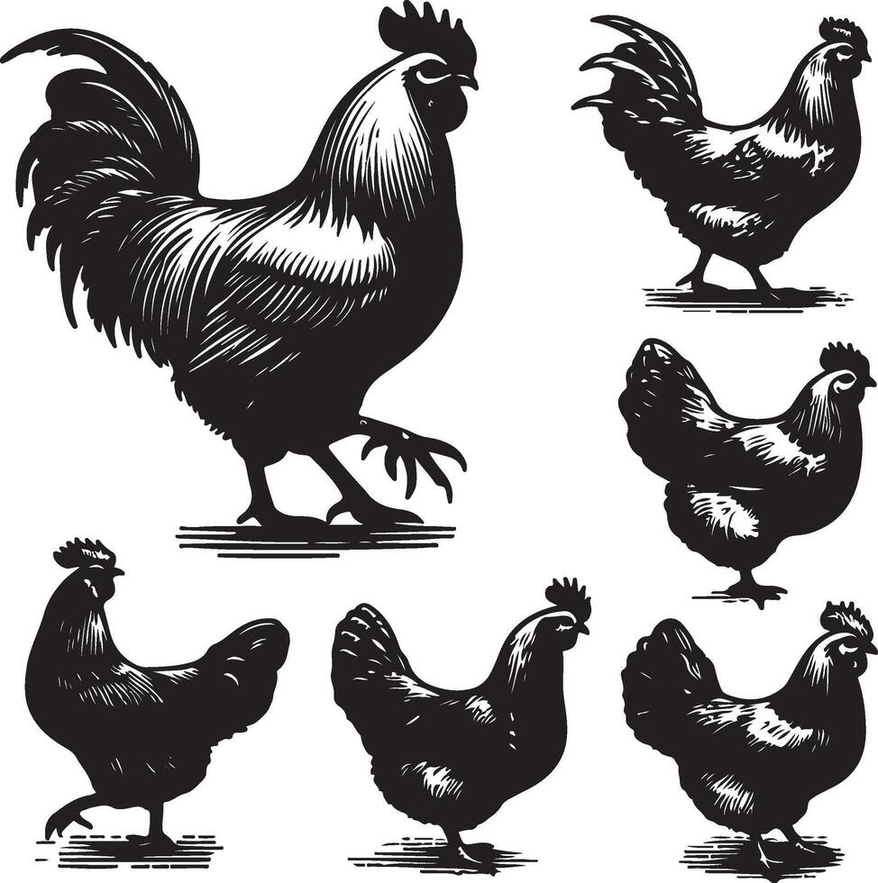 hen bundle black vector