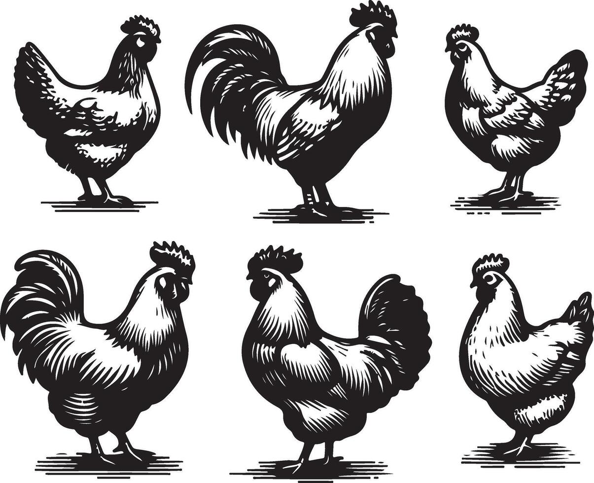hen bundle black vector