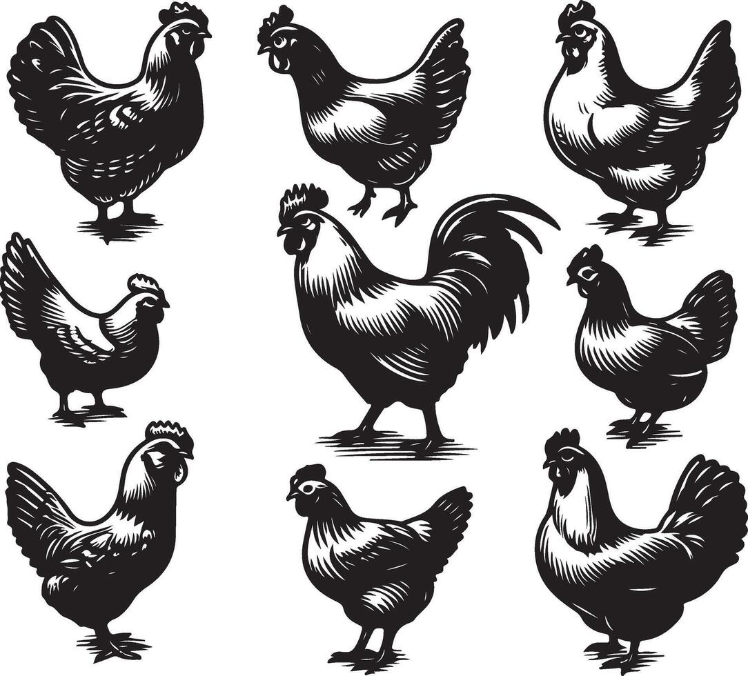 hen bundle black vector