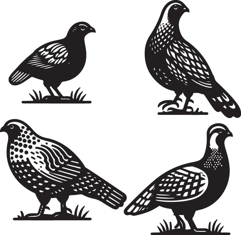 grouse bundle illustration black vector