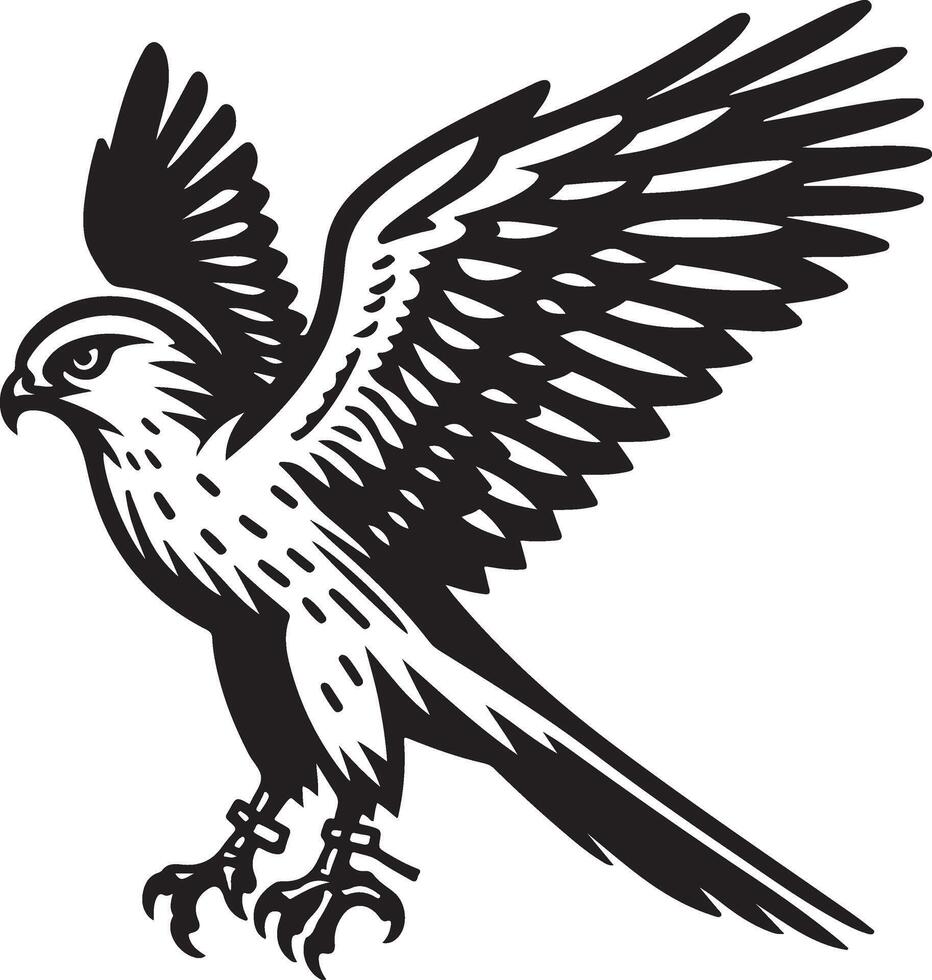 harrier bird illustration black vector