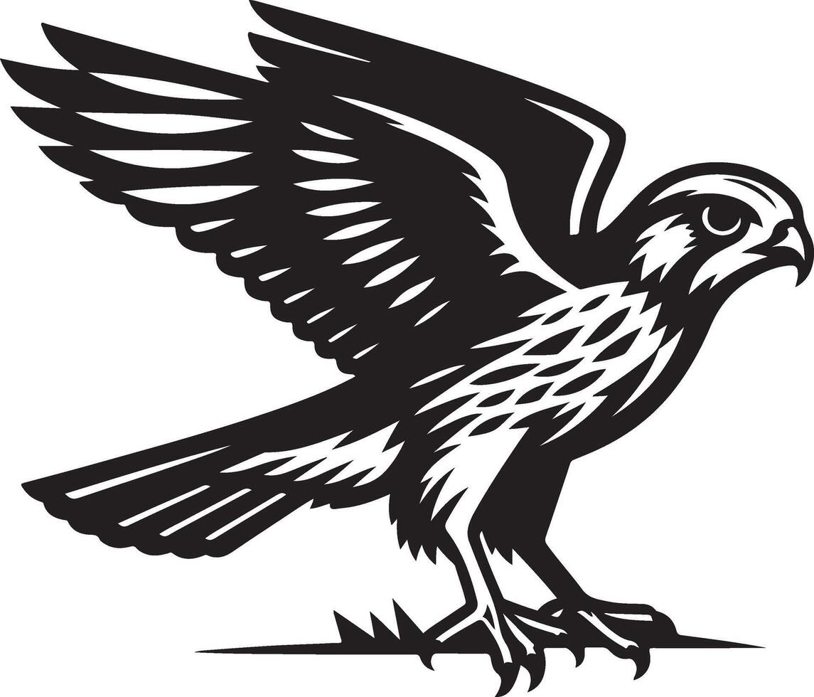 harrier bird illustration black vector