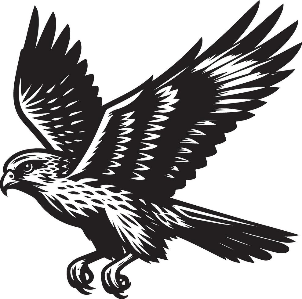 harrier bird illustration black vector