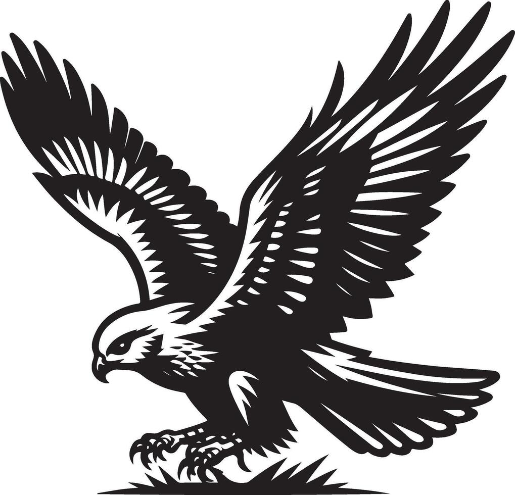 harrier bird illustration black vector