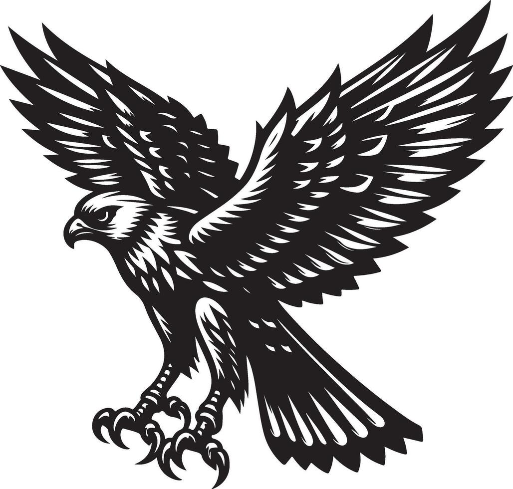 harrier bird illustration black vector